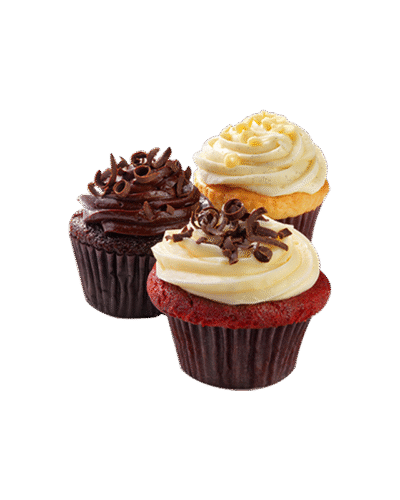 Chocolate Muffin